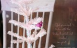 birdie-03words